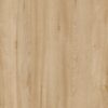 M6210_Magyra_Beech_Nature_min