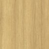 M6349_Eternal_Oak Eternal Oak