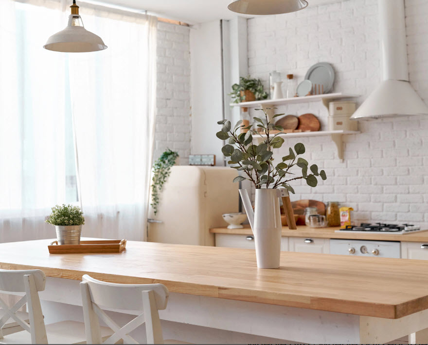 enciemeramacizahaya_03